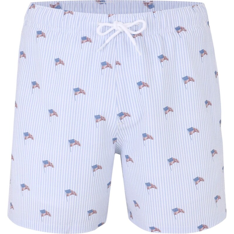 HOLLISTER Boxerky modrá / svetlomodrá / červená / biela 64153347