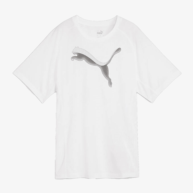 Puma Evostripe S 64334546