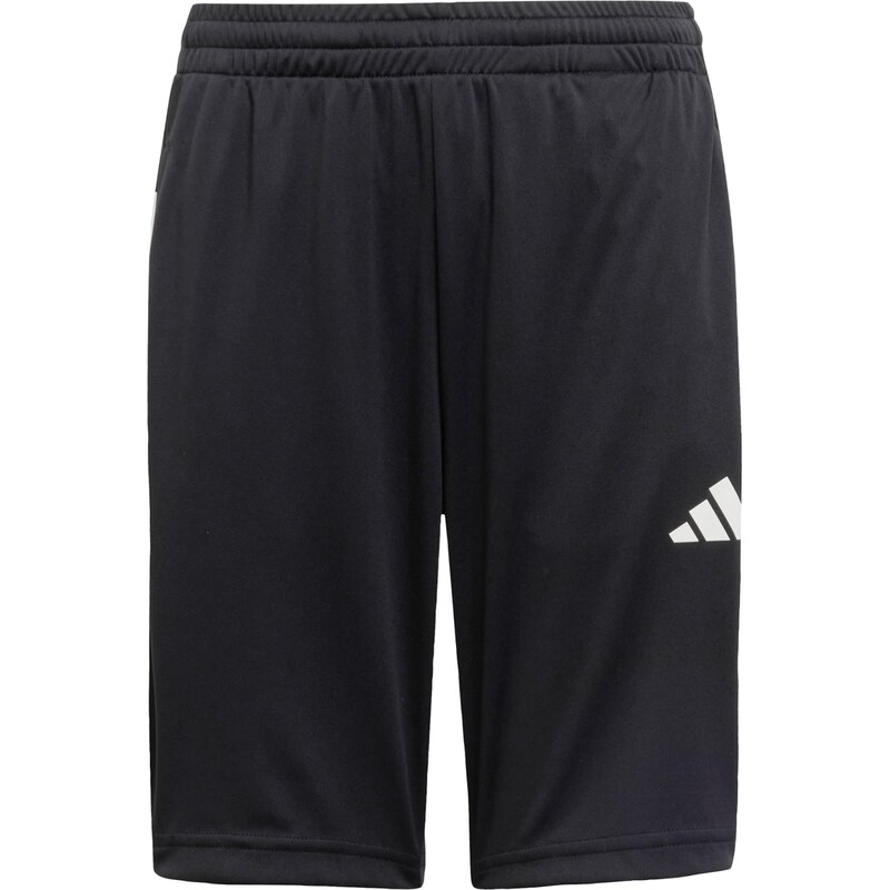 ADIDAS SPORTSWEAR Športové nohavice Essentials čierna / biela 64008805