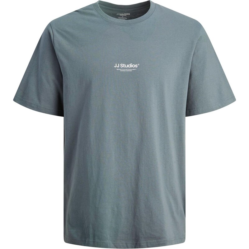 JACK & JONES Tričko JJESOHO sivá / biela 64390124