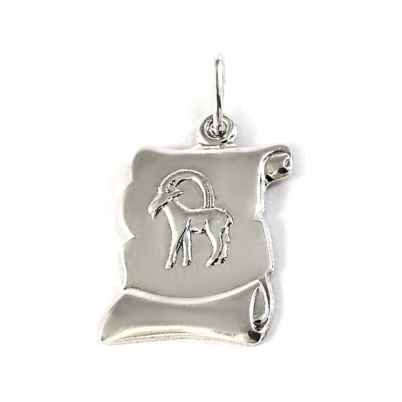 Strieborný prívesok Glare 585 64482204