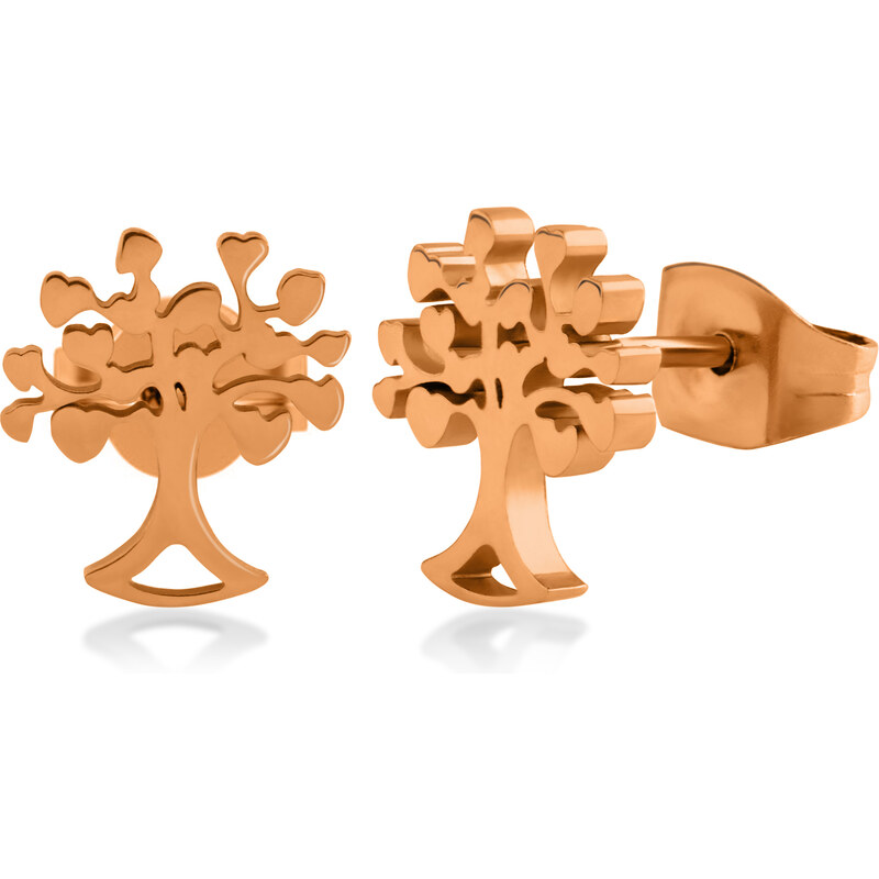 Troli Pôvabné bronzové náušnice Strom života 66589047