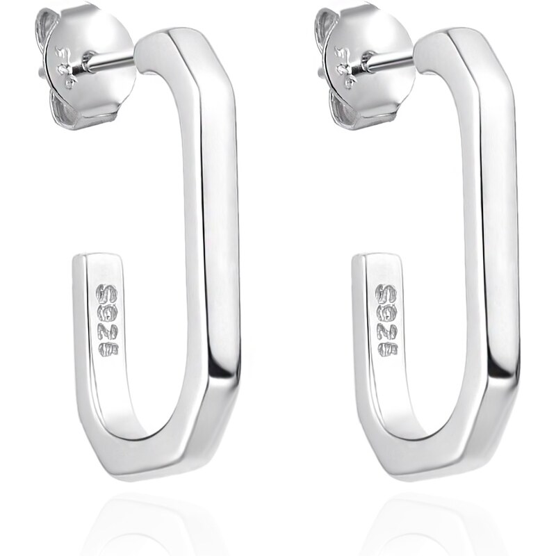 Agato Nadčasové strieborné náušnice AGT-E136P 66582749