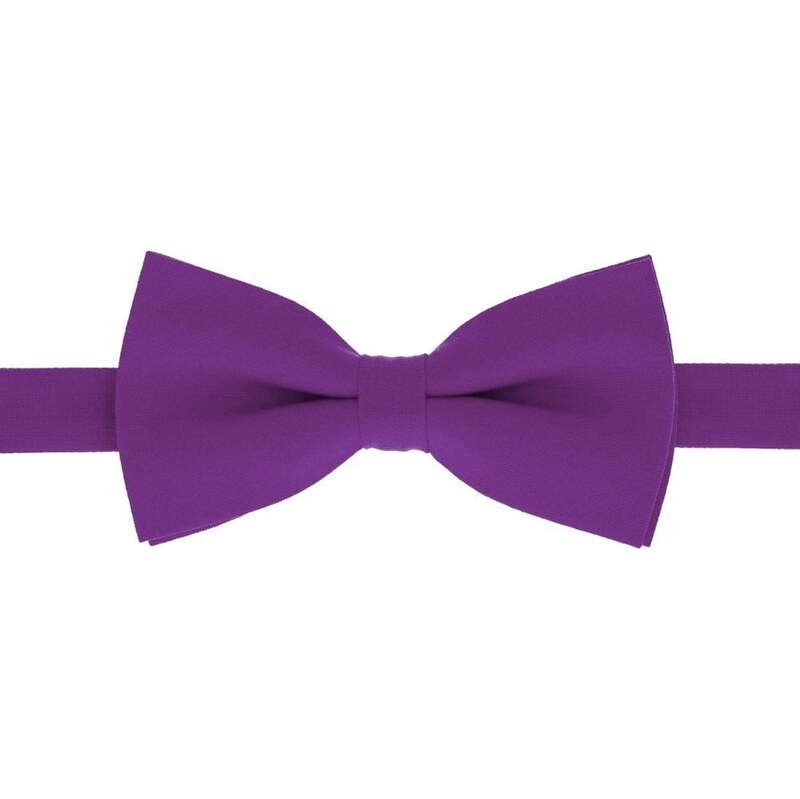 Trendy fialový pánsky motýlik His Story 64521508