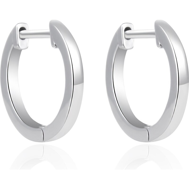 Agato Nadčasové strieborné náušnice AGT-E194K 66580466