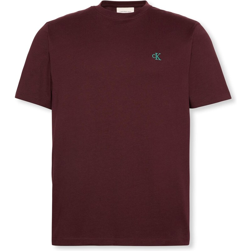 Calvin Klein Jeans Tričko hrdzavohnedá / svetlozelená 64559373