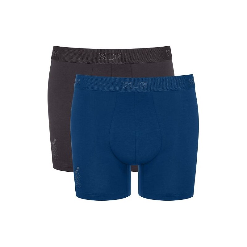 E-shop Sloggi 2pack boxeriek organic Base Short sivé a modré