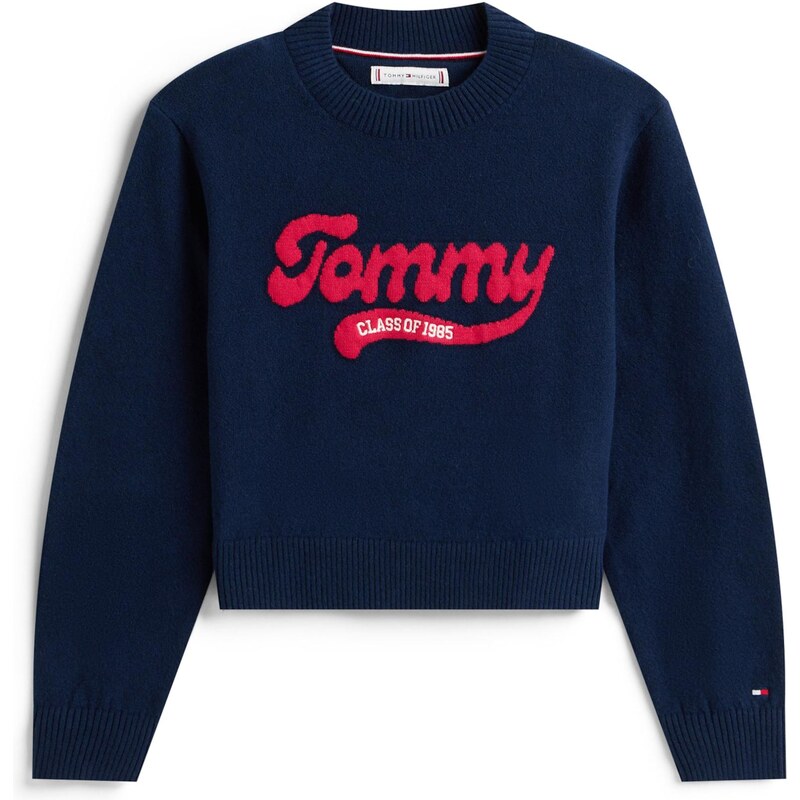 TOMMY HILFIGER Sveter námornícka modrá / červená / biela 64732024