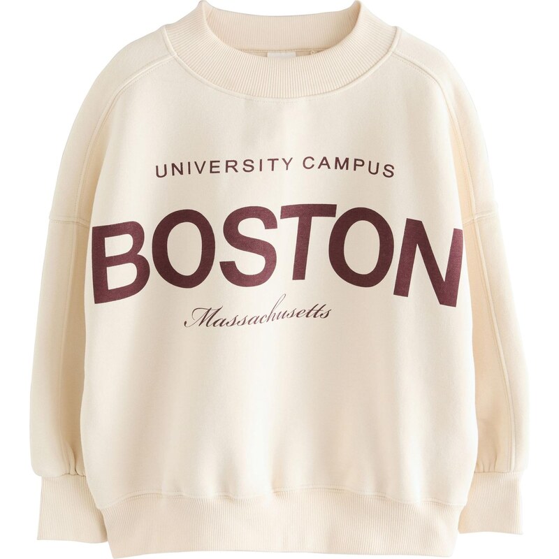 Next Mikina nebielená / tmavohnedá 65881631