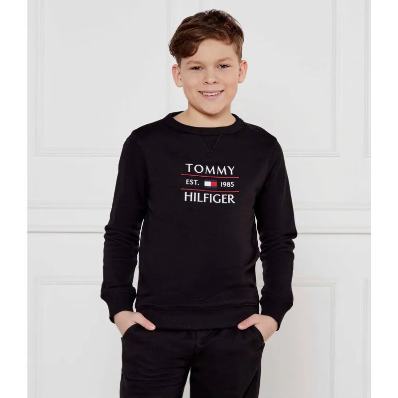 Tommy Hilfiger Mikina | Regular Fit 62798424