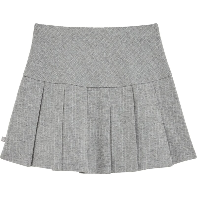 WE Fashion Sukňa sivá / striebornosivá 65812059