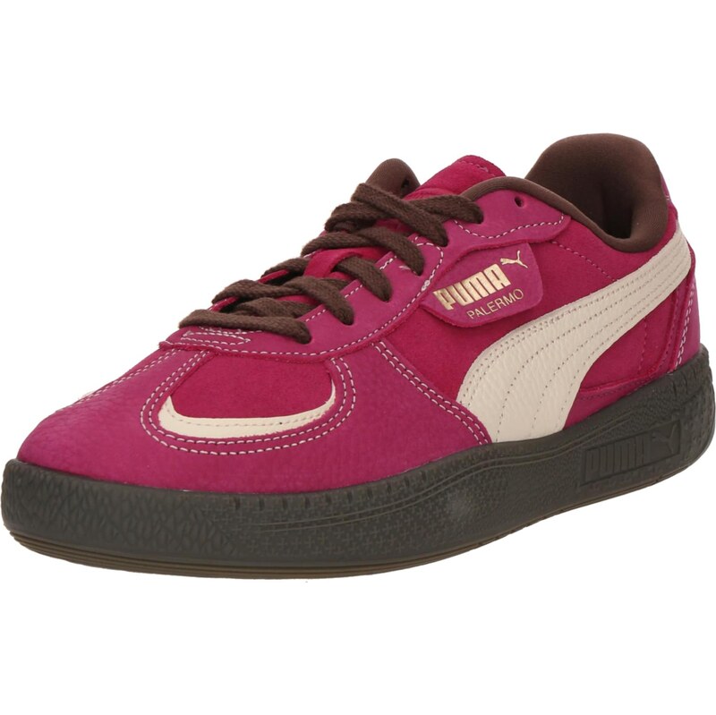 PUMA Nízke tenisky Palermo Moda Wine Club krémová / zlatá / pitaya 65658640