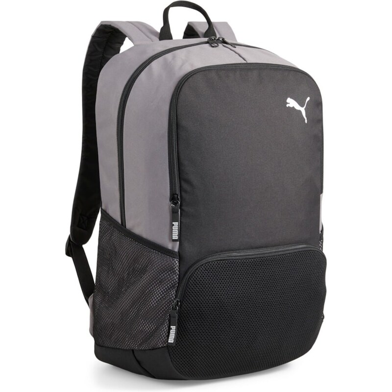 Puma teamGOAL Backpack Premium XL gray 64994804