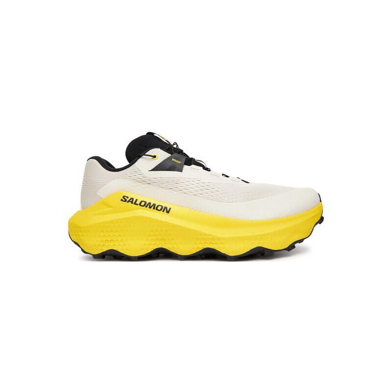 Bežecké topánky Salomon 65023792