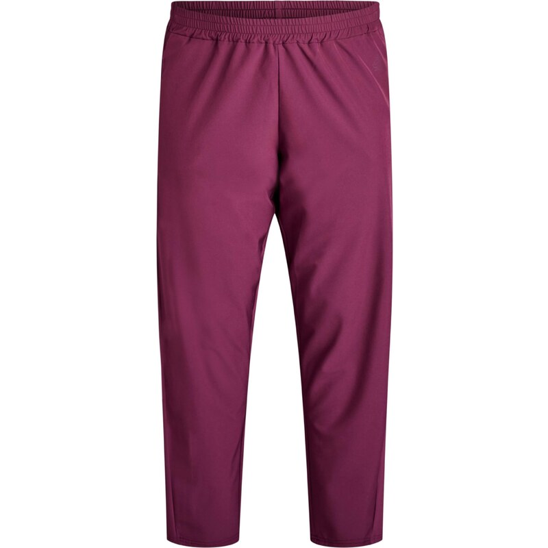 Active by Zizzi Nohavice ACLARA farba lesného ovocia 65886275