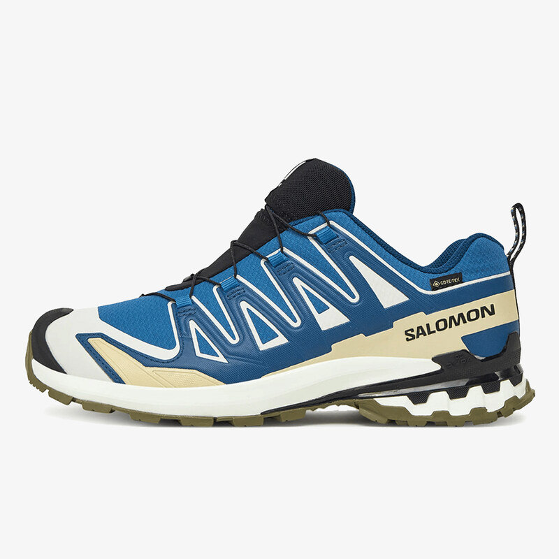 Salomon XA PRO 3D V9 GTX EUR 42 65062982