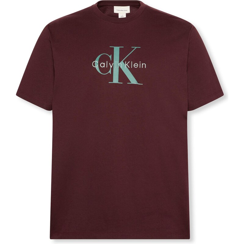 Calvin Klein Jeans Tričko Hero čokoládová / mätová / pastelovo zelená 65088635