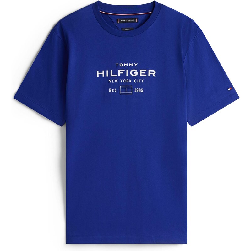TOMMY HILFIGER Tričko modrá / biela 65139057