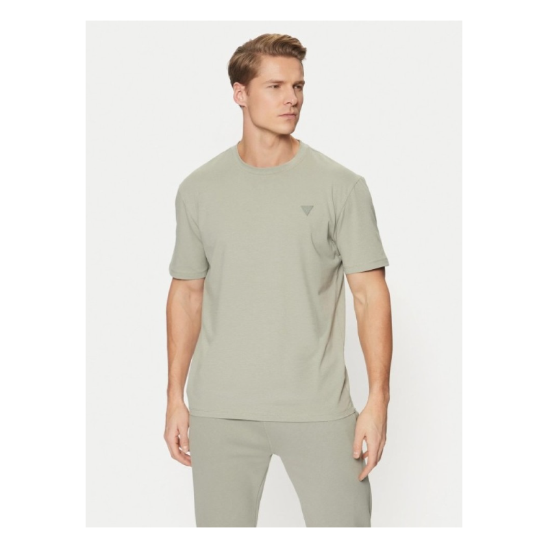 Guess hedley ss t-shirt GREEN 65188950