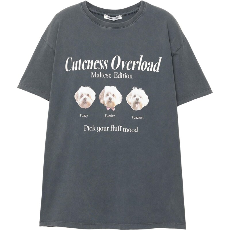 Pull&Bear Tričko svetlohnedá / tmavosivá / ružová / biela 65886589