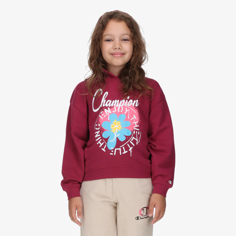 Champion Hooded Sweatshirt XS 65232388