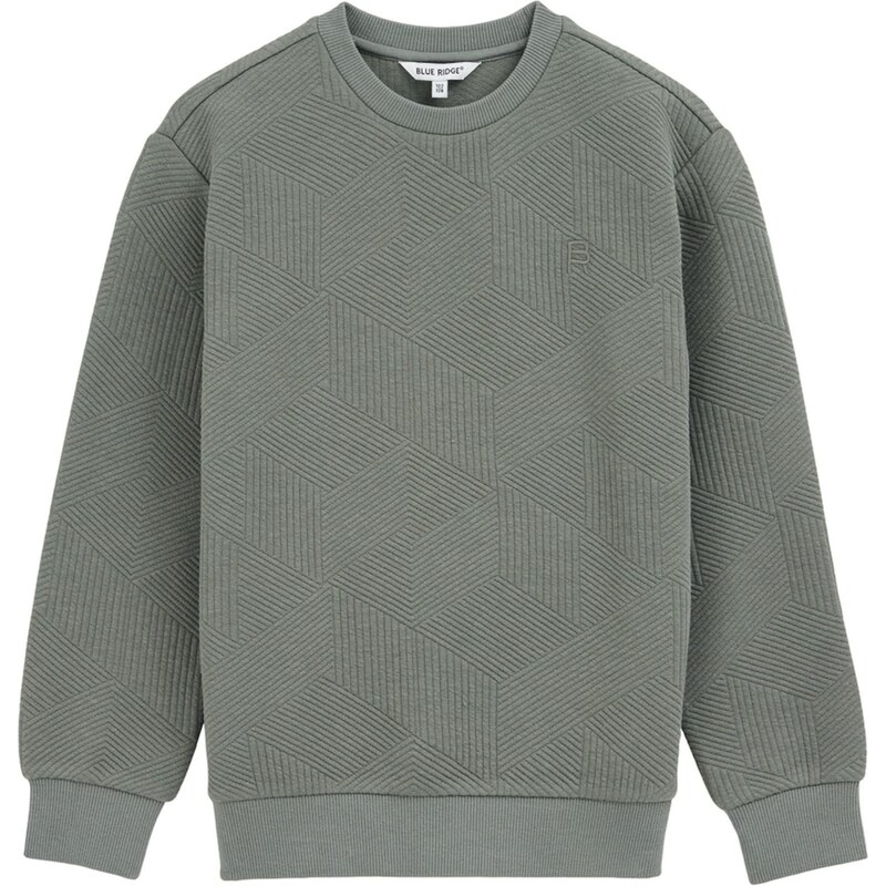 WE Fashion Mikina zelená / olivová 65834977