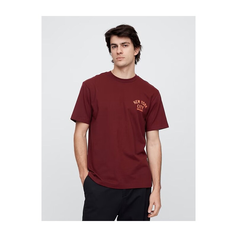 GAP T-shirt Everyday Soft - Mens 66312902