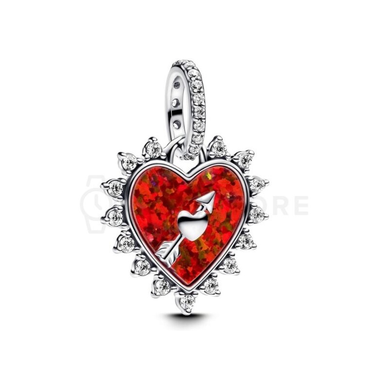 Pandora Moments 793667C01 793667C01 65317840