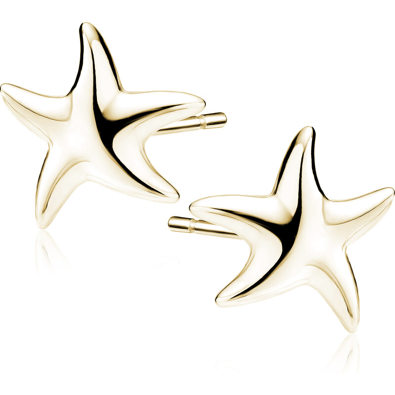 Olivie Stříbrné náušnice HVĚZDICE GOLD 9860 65359822