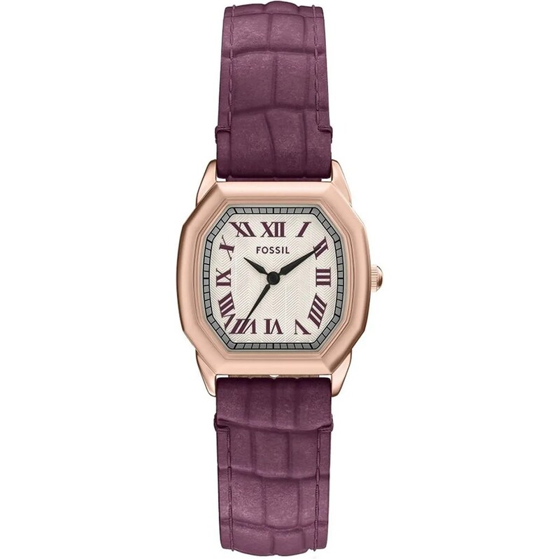 Hodinky Fossil 65339433