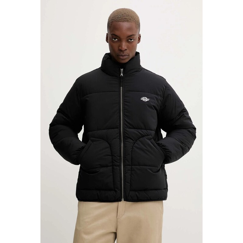 Bunda Dickies 65361751