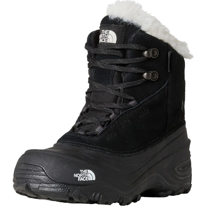 THE NORTH FACE Nízke čižmy Shellista V čierna 65887034