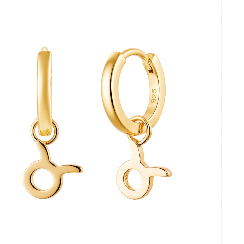 Olivie Strieborné náušnice BÝK GOLD 9588 64286378