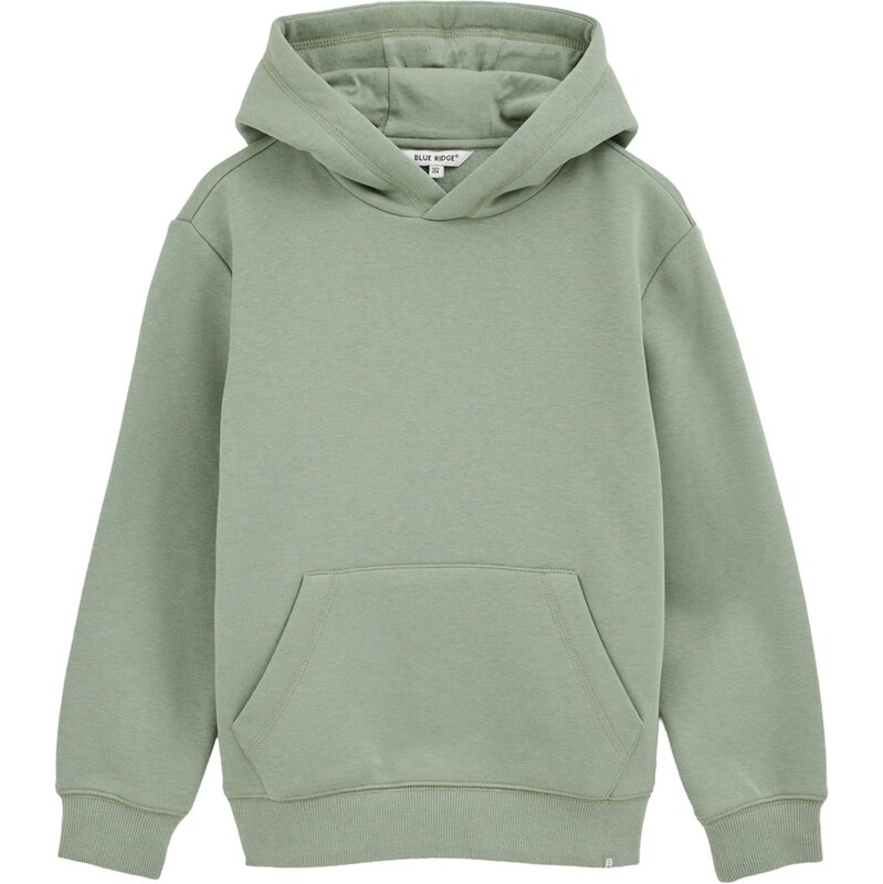 WE Fashion Mikina zelená / svetlozelená 65834988