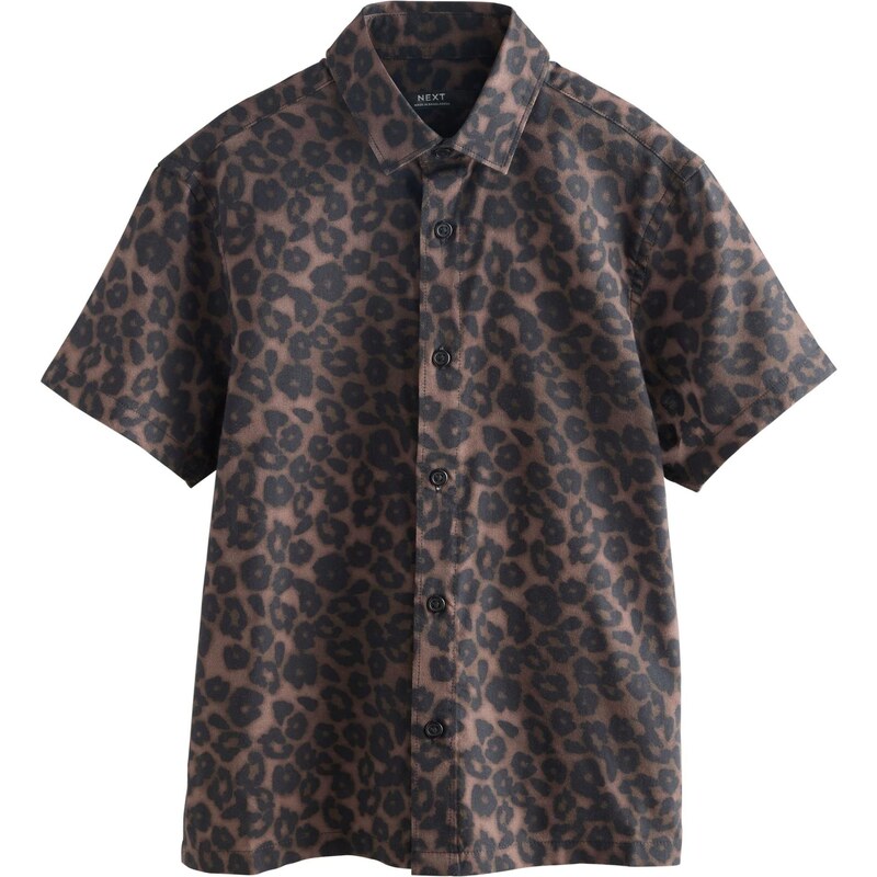 Next Tričko hnedá / tmavohnedá 65889005