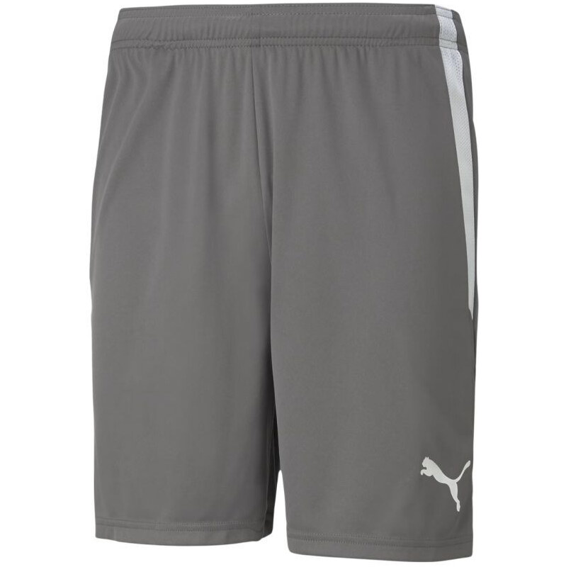 Puma teamLIGA M 704924 13 šortky 65574292