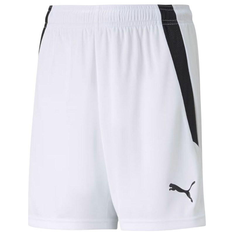 Puma teamLIGA Šortky Jr 704931 04 65722801