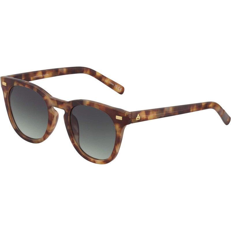 Aire Slnečné okuliare EVOLUTION hnedá / pueblo 65665556