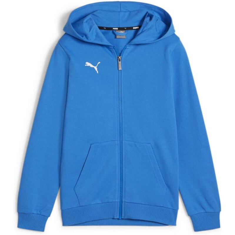 Puma teamGoal Casuals Hoodie Jr 658596 02 65579442