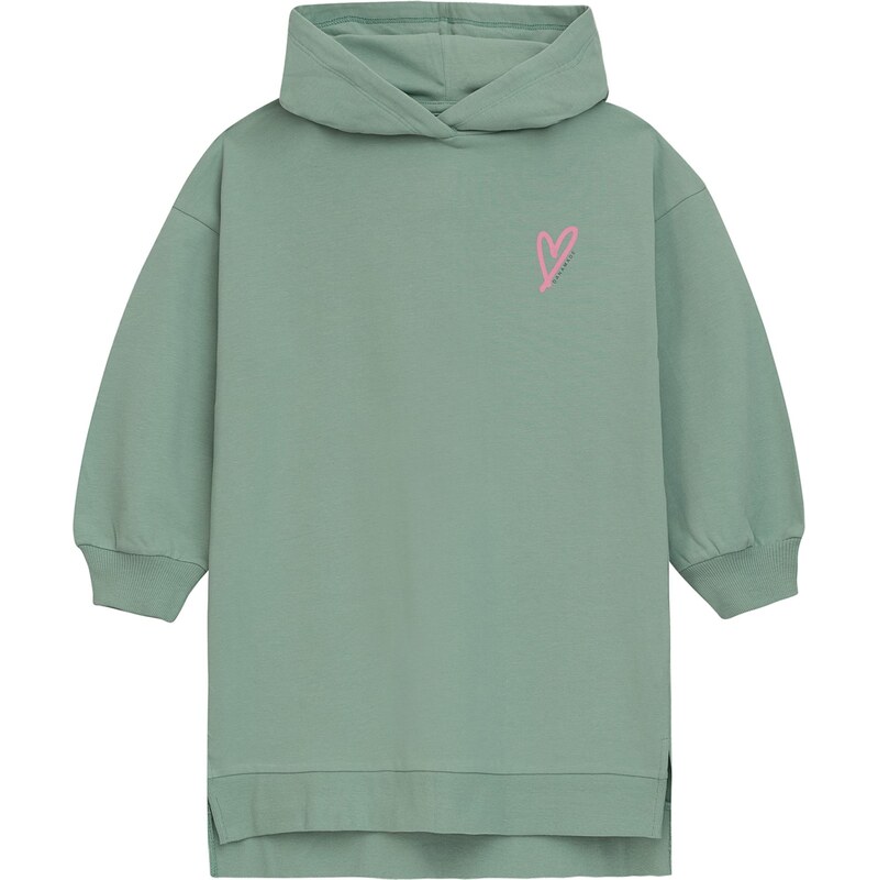 Danamade Šaty zelená / pitaya / čierna 66057254