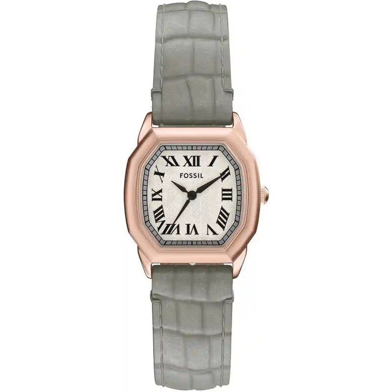 Hodinky Fossil 65586491