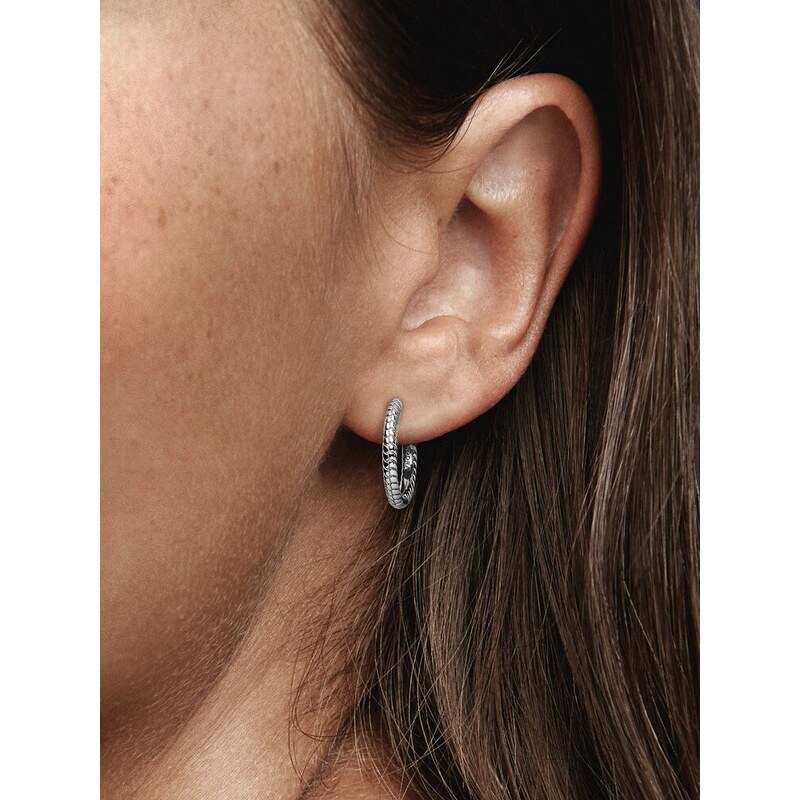 Pandora Kruhové strieborné náušnice na prívesky Moments 292728C00 66581846