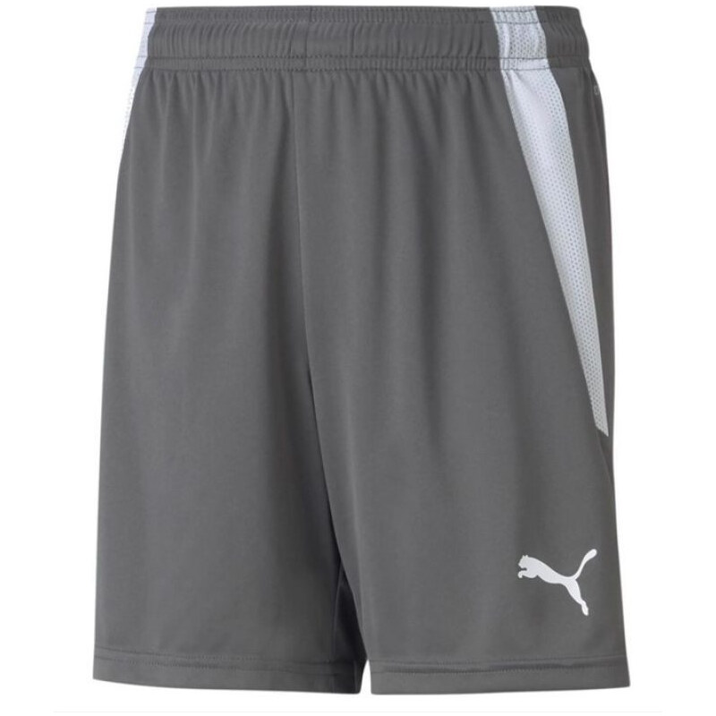 Puma teamLIGA Šortky Jr 704931 13 65725542