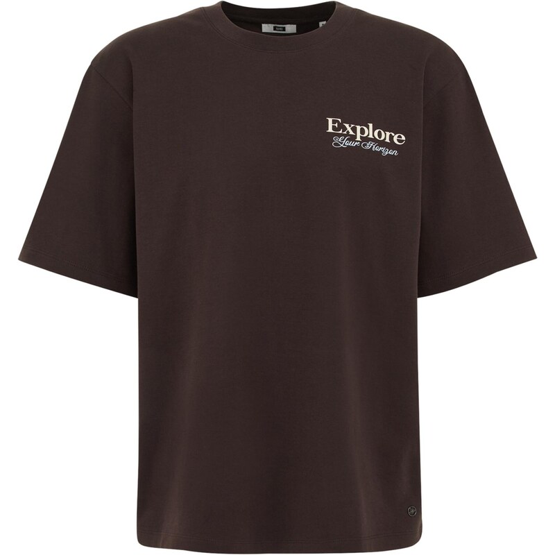 WE Fashion Tričko svetlomodrá / tmavohnedá / biela 65662814