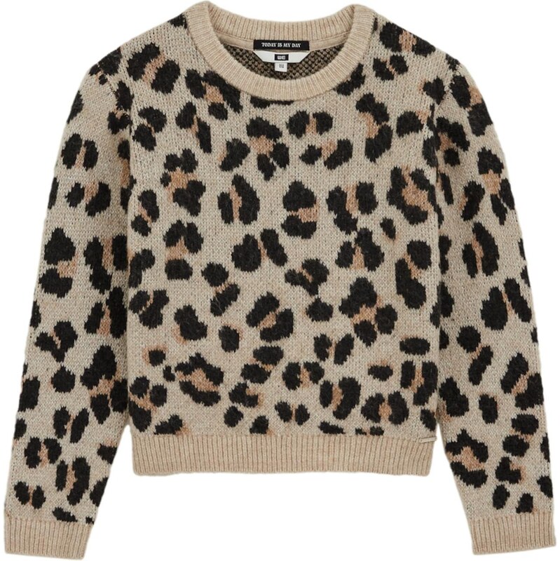 WE Fashion Sveter hnedá / kapučíno / čierna 65888117