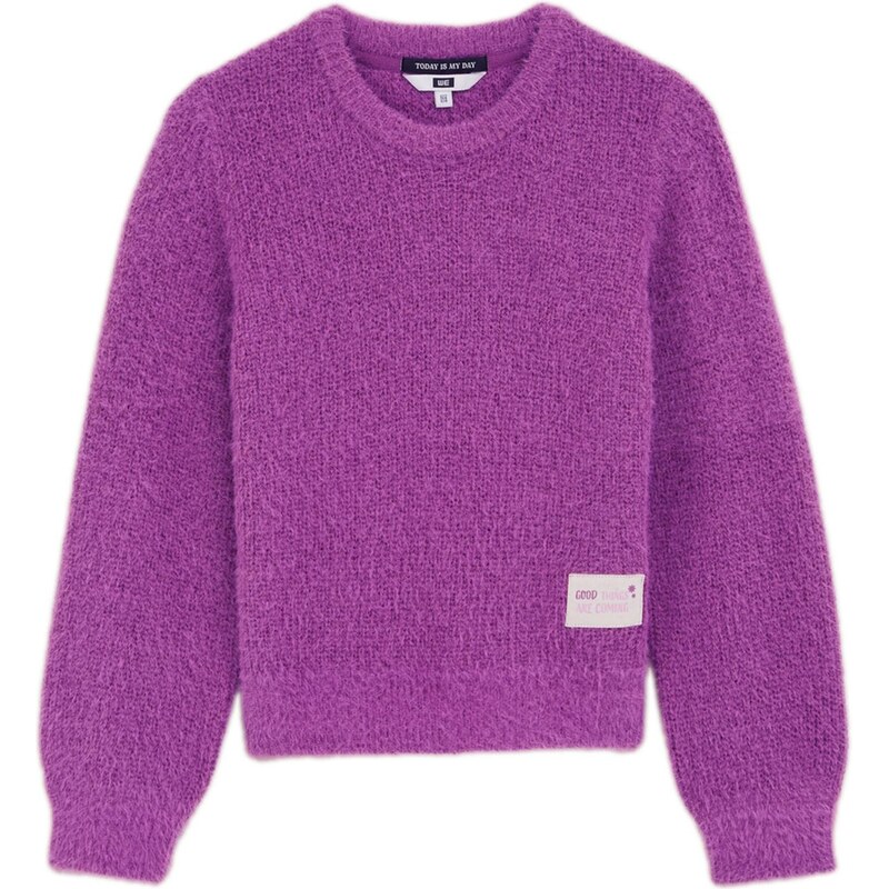 WE Fashion Sveter fialová 65887112
