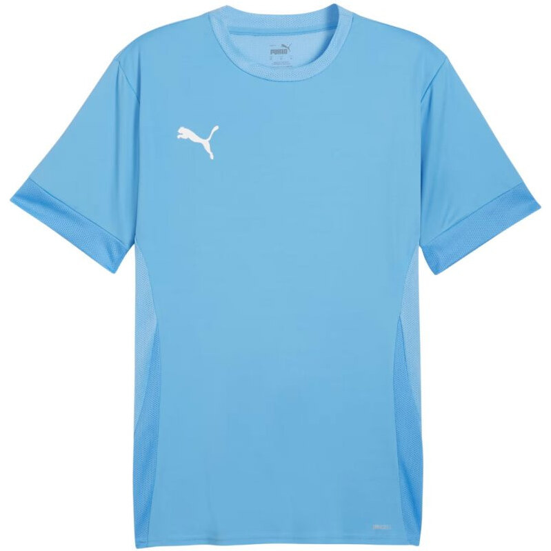Puma teamGoal Matchday Jersey M 705747 18 muži 65807748
