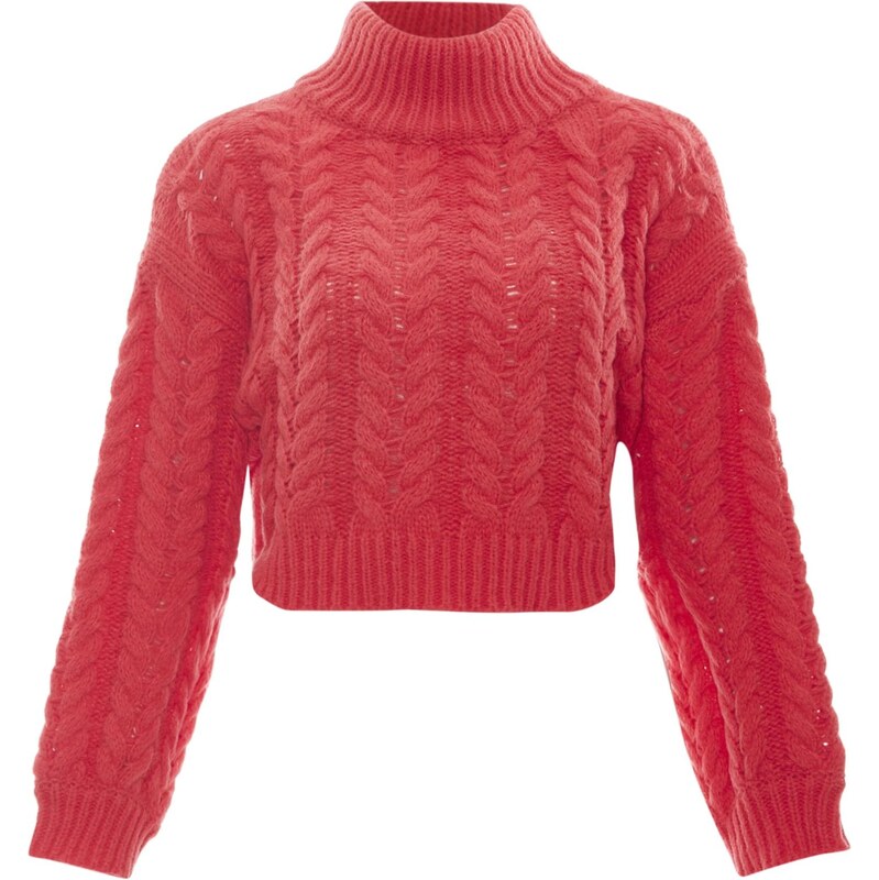 Sookie Sveter pitaya 65869390