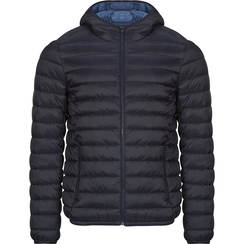 Teddy Smith Bundy BLIGHTER Teddy Smith 65930957