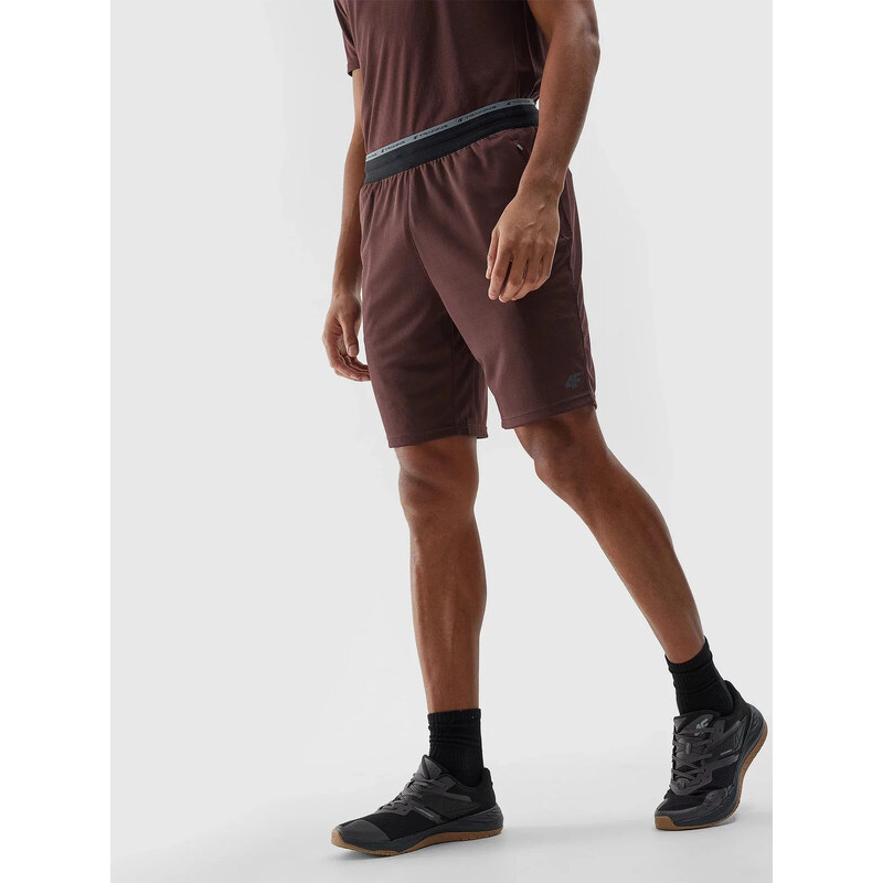 Pánske športové šortky 4F 51490407